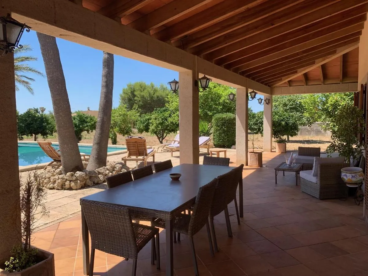 Finca Sa Terra Grossa Villa Binissalem 0*,